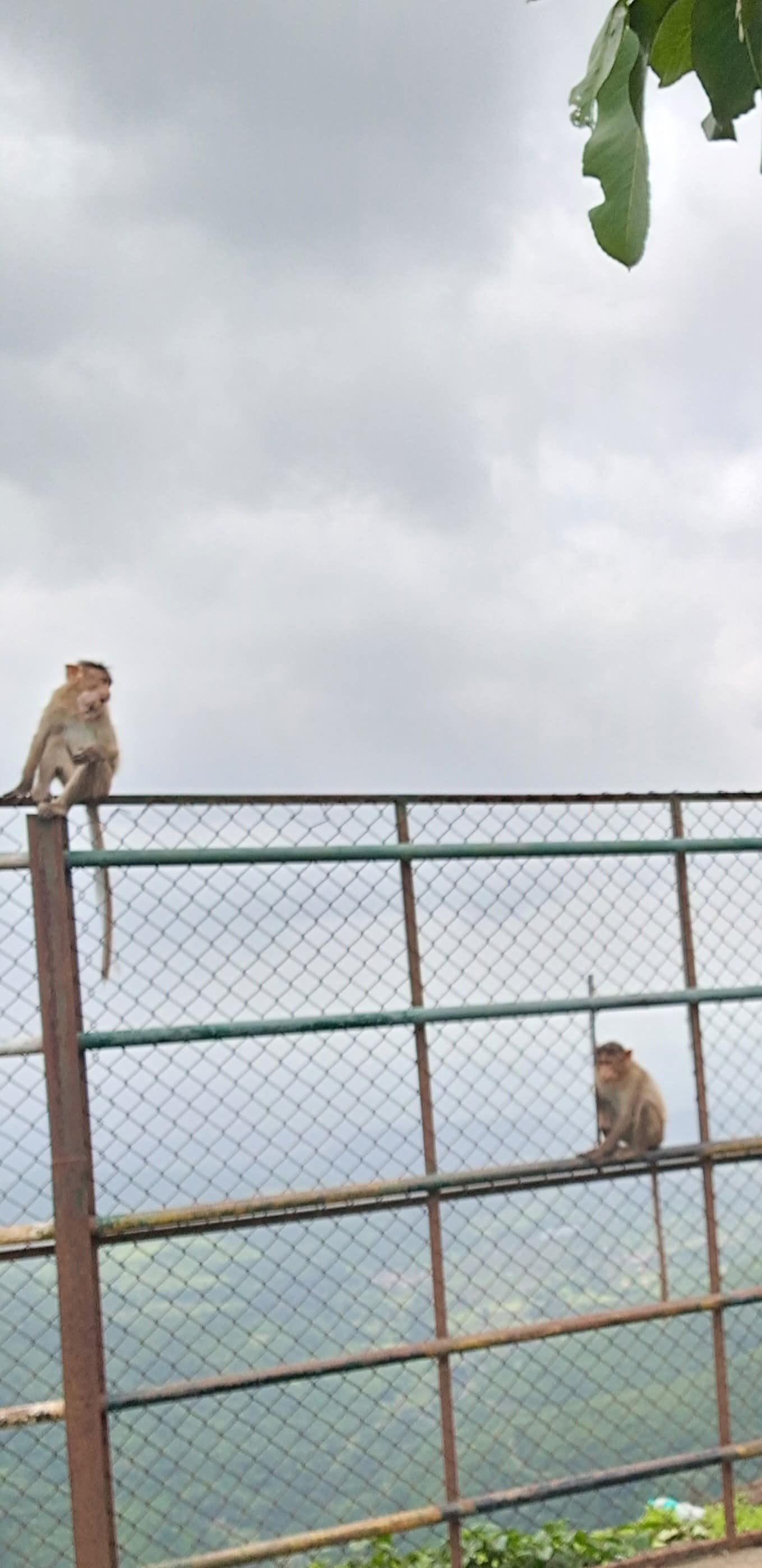 भंडारदरा फोटो 4